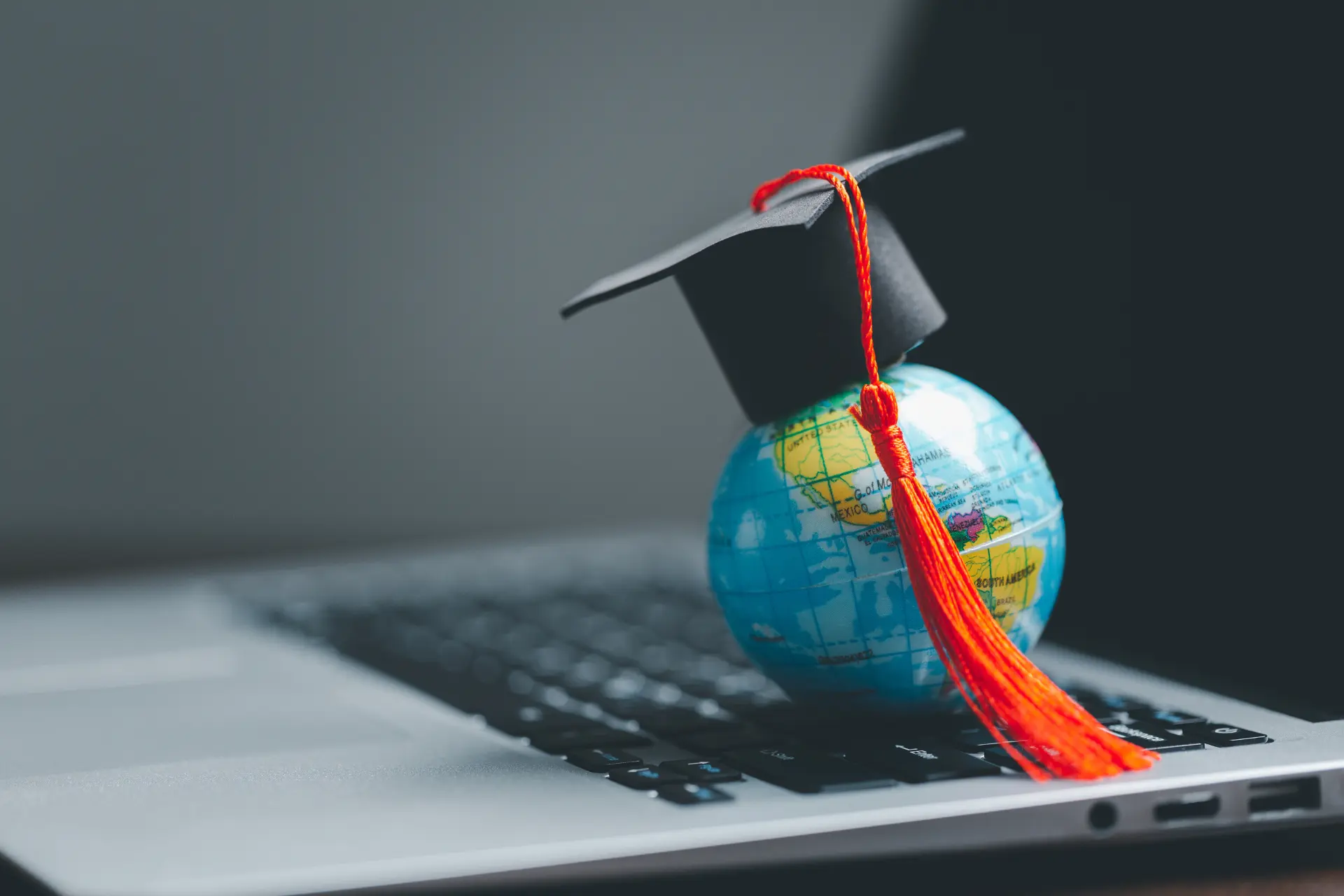 Bac Américain en Français avec Flos